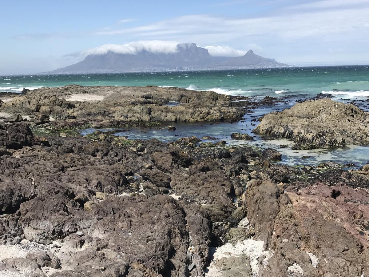 Appartamento Atlantic Haven Bloubergstrand Esterno foto